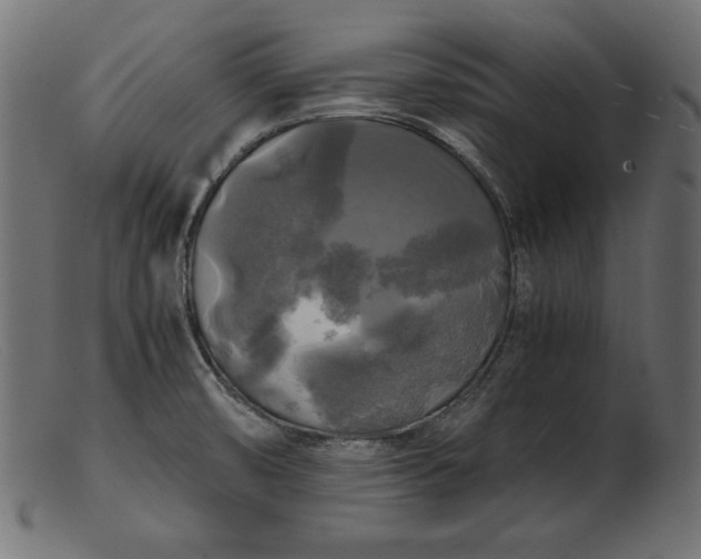 X0000103221474200809111457