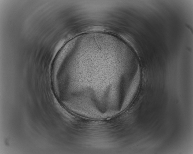 X0000103221475200809111457