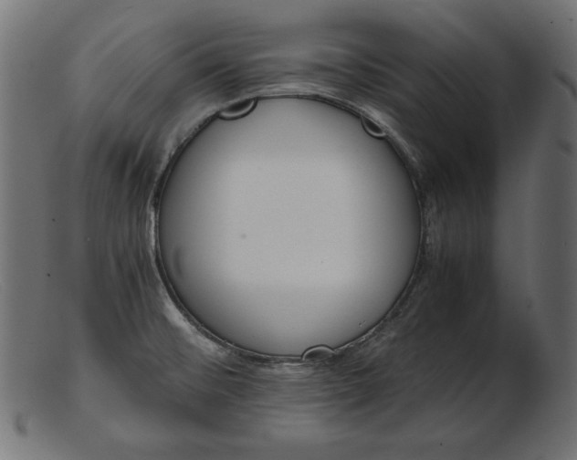 X0000103221476200809111457