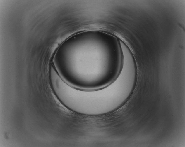 X0000103221477200809111457