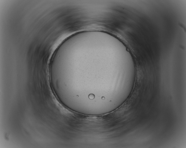 X0000103221478200809111457