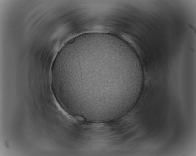 X0000103221479200809111457