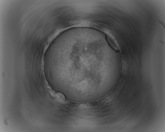 X0000103221480200809111457