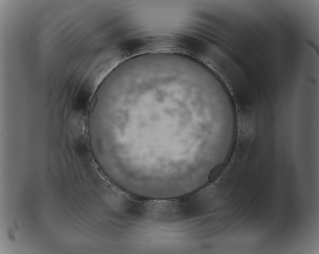 X0000103221481200809111457