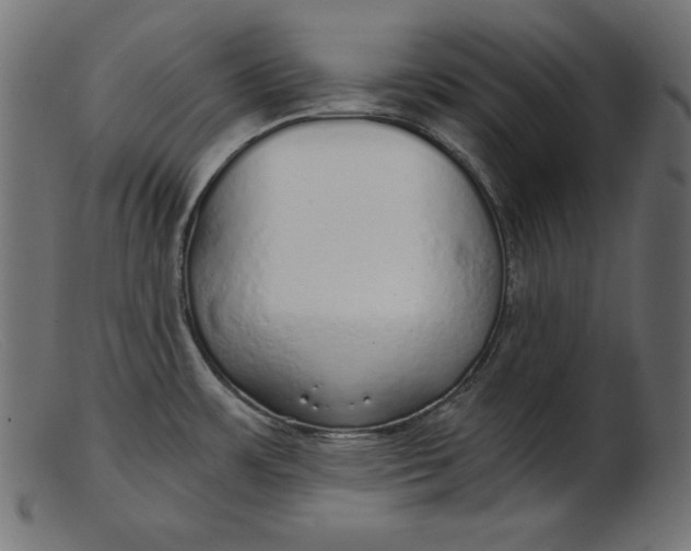 X0000103221483200809111457