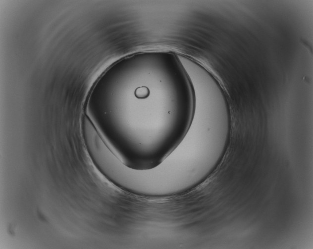 X0000103221484200809111457