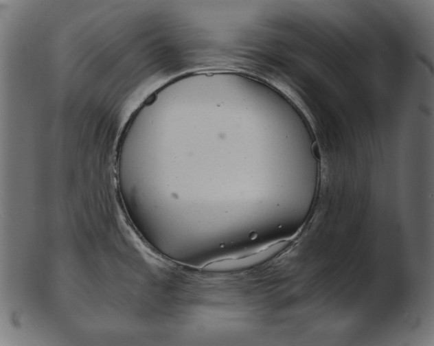 X0000103221485200809111457