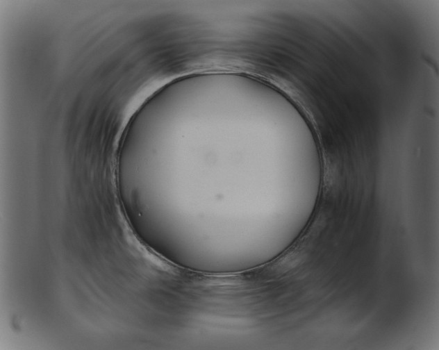 X0000103221486200809111457