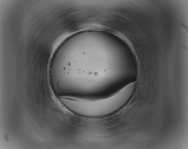 X0000103221488200809111457