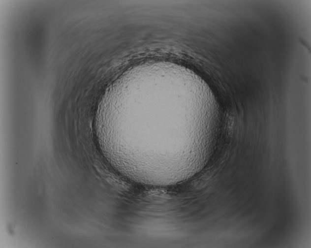 X0000103221489200809111456