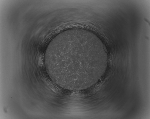 X0000103221490200809111456