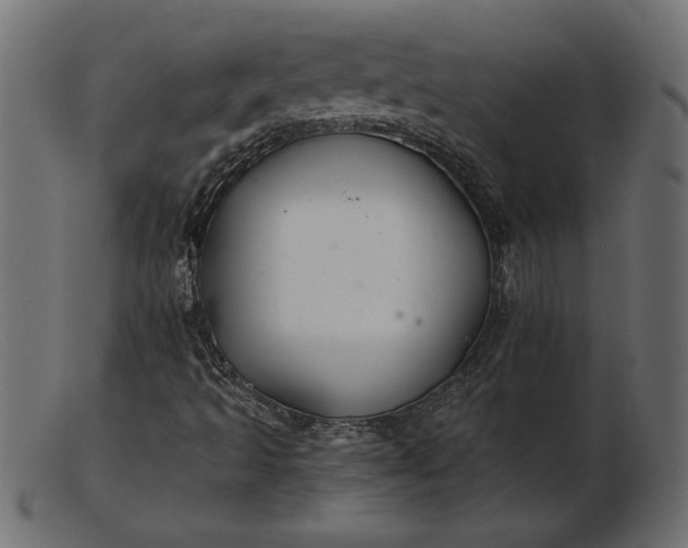 X0000103221493200809111456