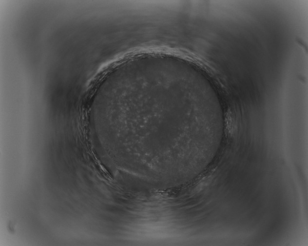 X0000103221494200809111456