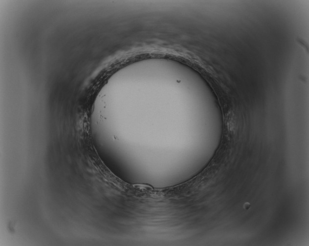 X0000103221495200809111456