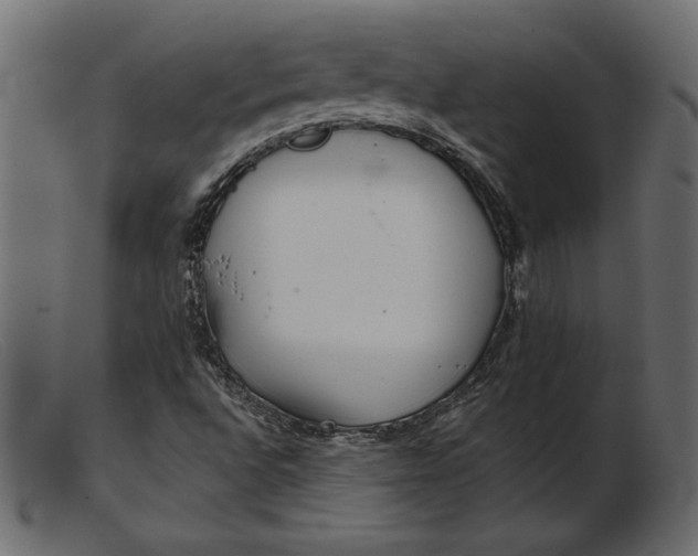 X0000103221496200809111456