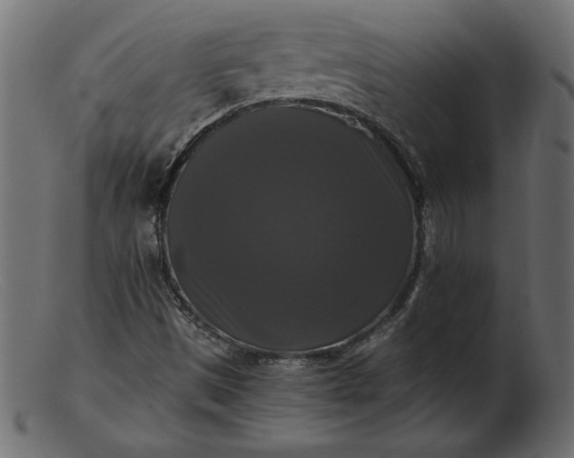 X0000103221497200809111456