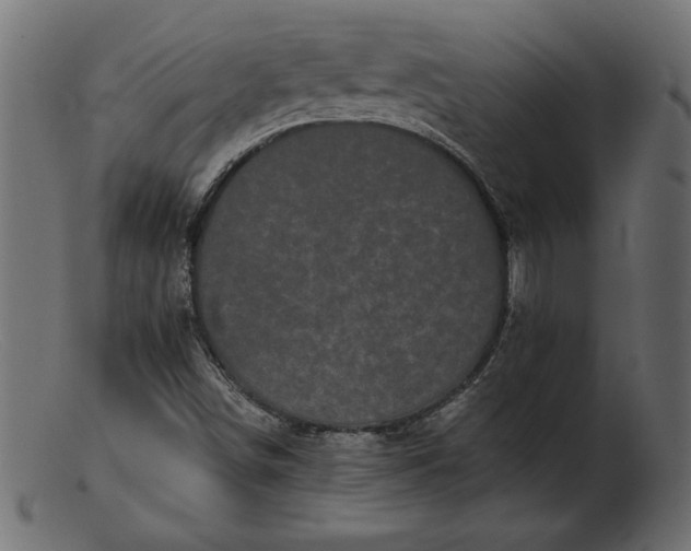 X0000103221498200809111456