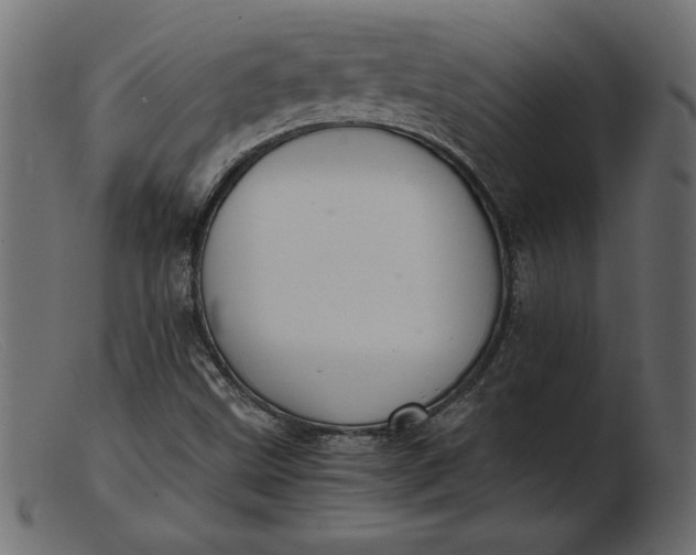 X0000103221499200809111456