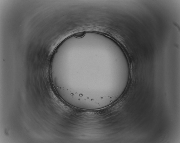 X0000103221500200809111456