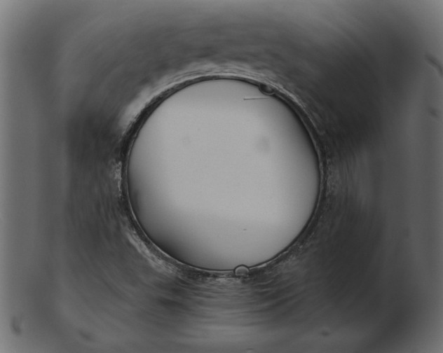 X0000103221503200809111456