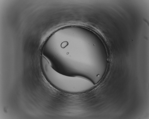 X0000103221504200809111456