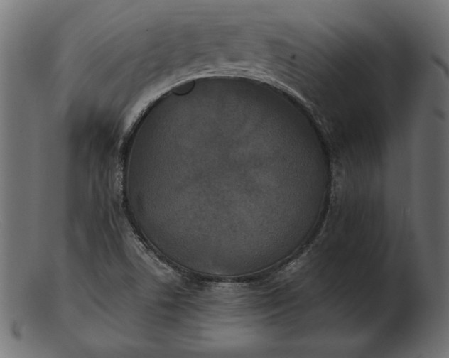 X0000103221506200809111456