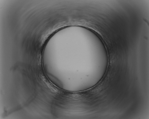 X0000103221507200809111456