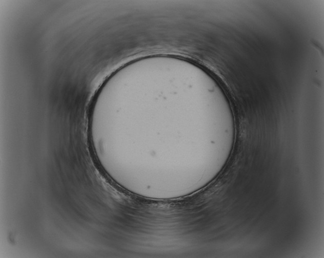 X0000103221508200809111456