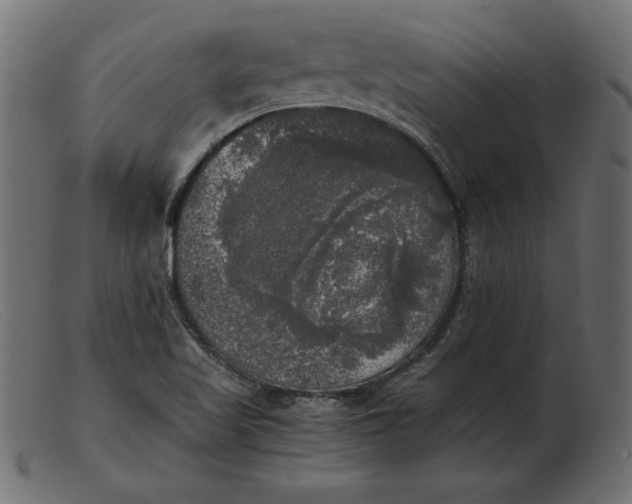 X0000103221509200809111456