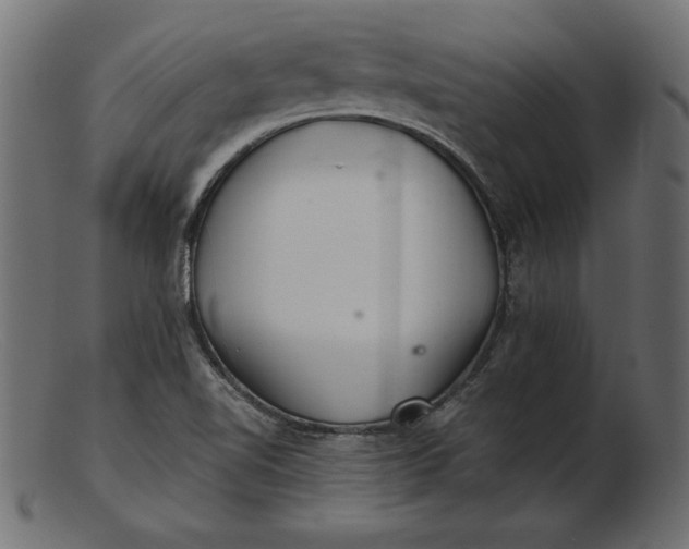 X0000103221510200809111456