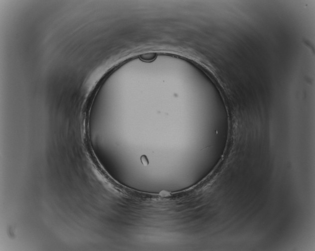 X0000103221511200809111456