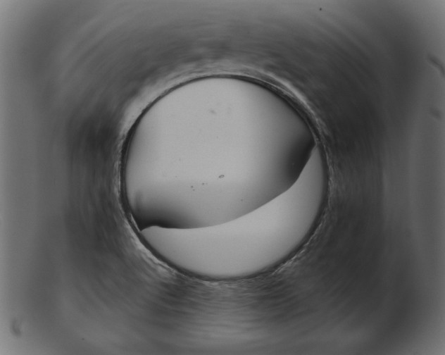 X0000103221512200809111457