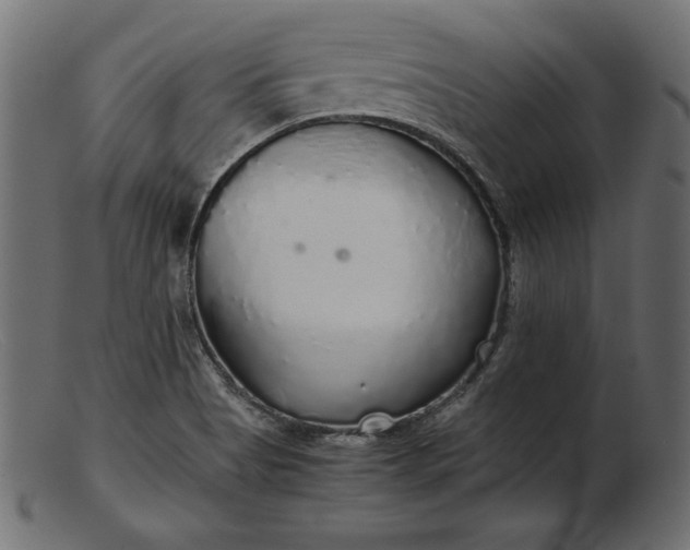 X0000103221513200809111457