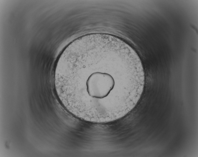 X0000103221514200809111457