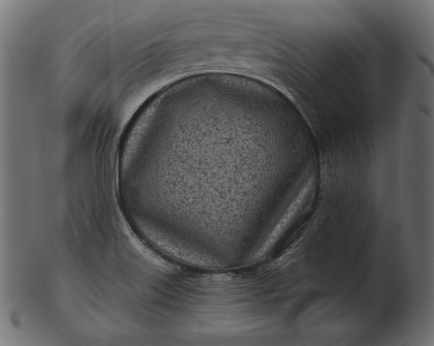 X0000103221515200809111457