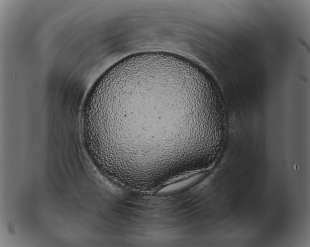 X0000103221517200809111457