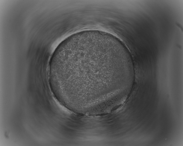 X0000103221519200809111457