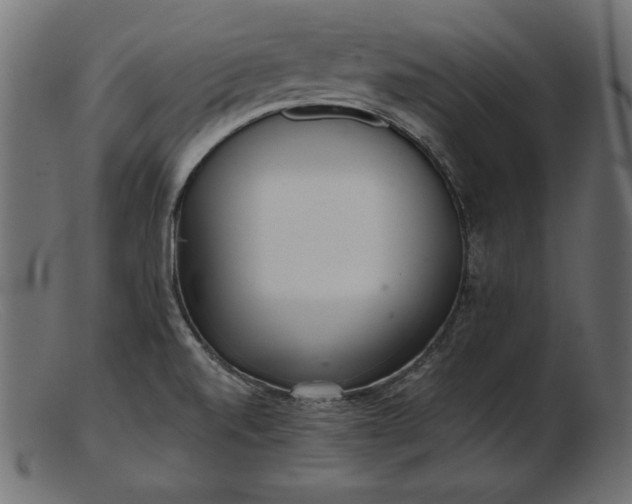 X0000103221520200809111457