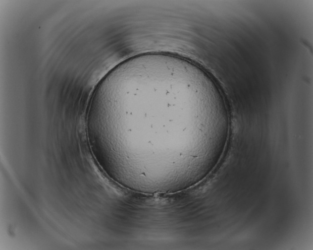 X0000103221521200809111457