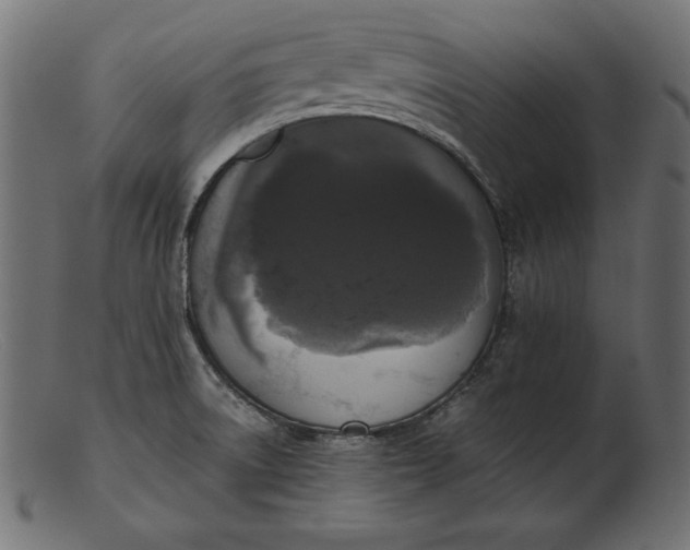 X0000103221522200809111457