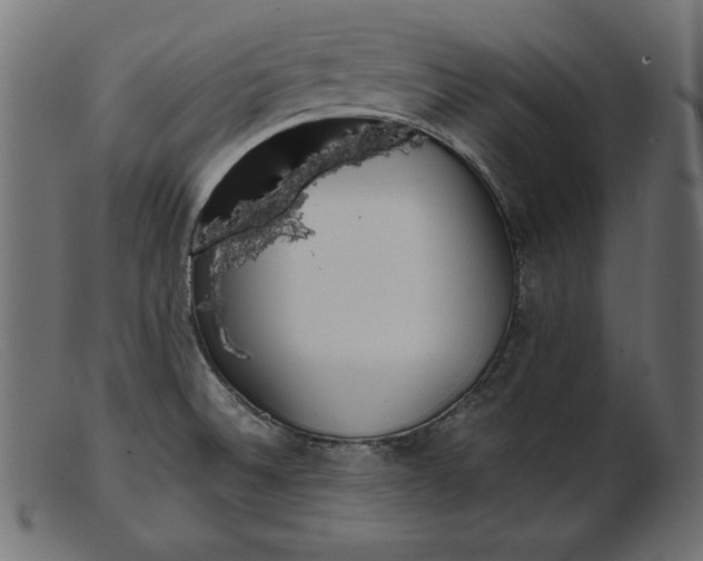 X0000103221524200809111457