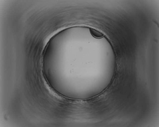 X0000103221526200809111457