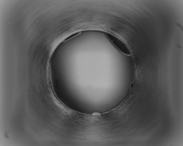 X0000103221528200809111457