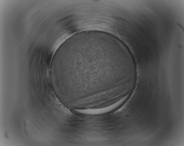 X0000103221529200809111457