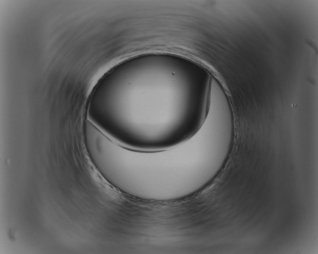 X0000103221530200809111457