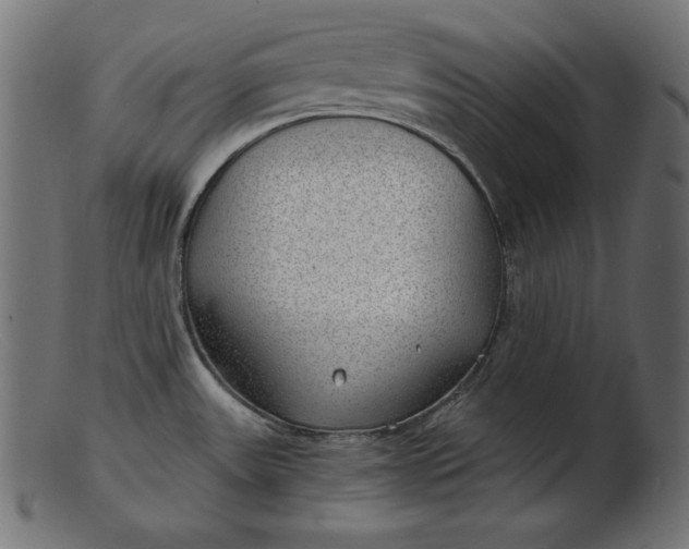 X0000103221531200809111457