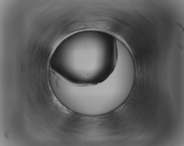 X0000103221532200809111457