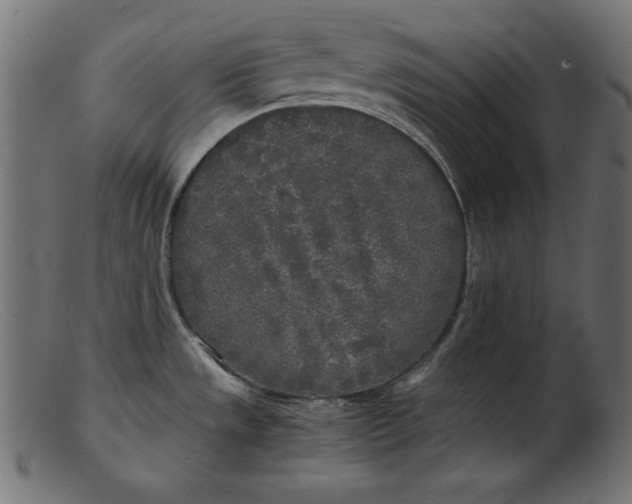 X0000103221533200809111457