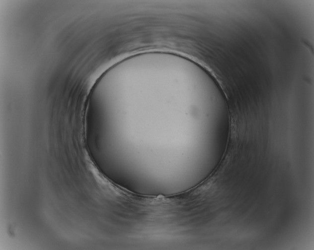 X0000103221534200809111457