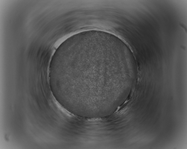 X0000103221535200809111457